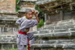 Little Shaolin Monks #11