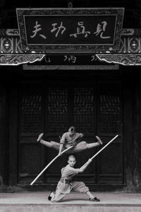 Little Shaolin Monks #22.1