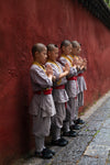 Little Shaolin Monks #27