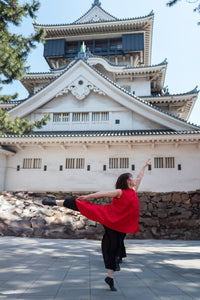Stillness in Motion #133.1- Kitakyushu
